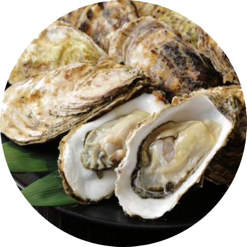 Cálcio de ostras